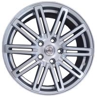 ����� NZ R-01 HS