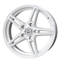 FM TL5336
