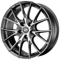 ���� MSW 25
