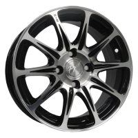 ���� FM TL0065