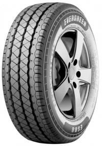 ���� Evergreen ES88