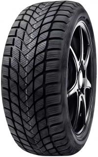 ���� Delinte Winter WD6