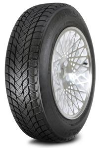���� Landsail Winter Lander